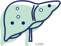 Icon of toxins in a liver