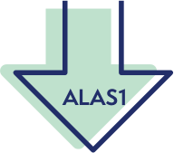 Reduction of ALAS1 icon